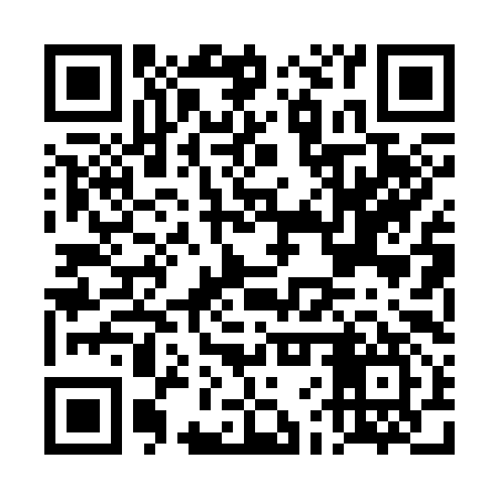 QR code for DFP397