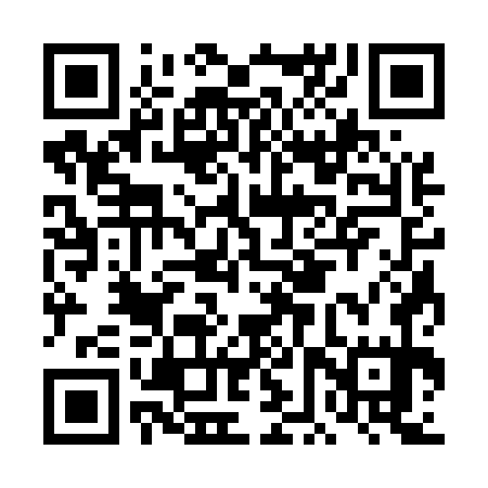 QR code for DFS575