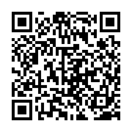 QR code for DGA333
