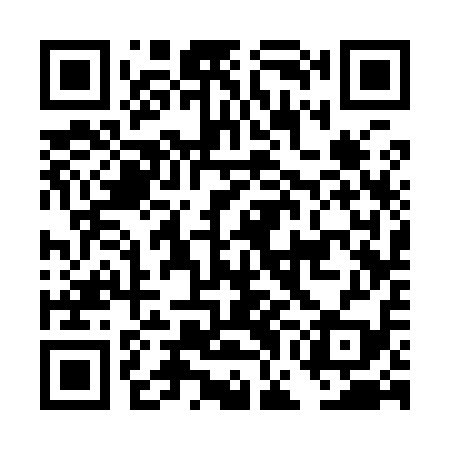 QR code for DGC919