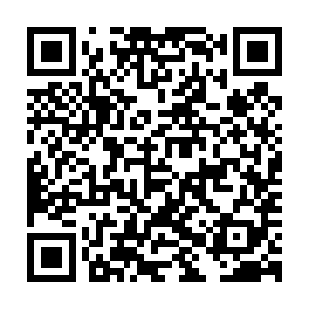 QR code for DHS489