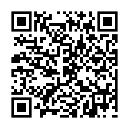 QR code for DHS738