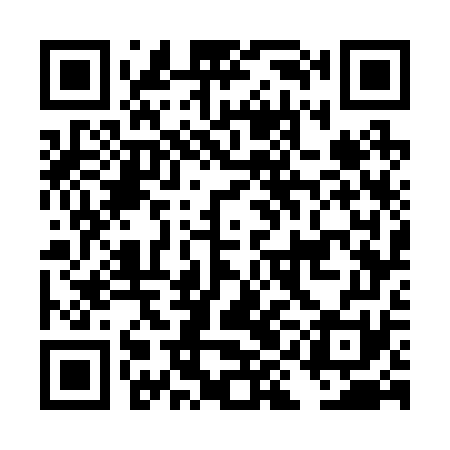 QR code for DIG271