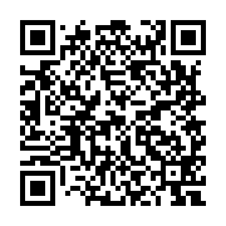 QR code for DIG999