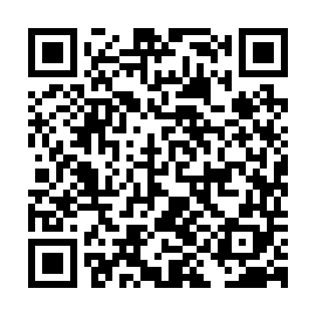 QR code for DII248