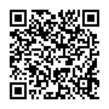 QR code for DII356