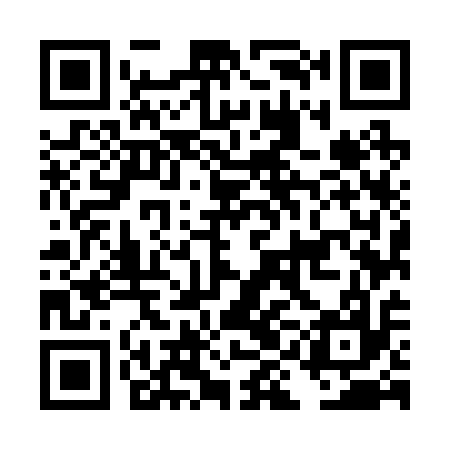 QR code for DIM217