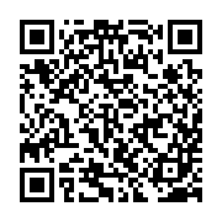 QR code for DIQ383