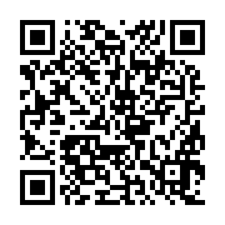 QR code for DIS996