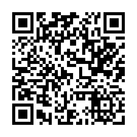 QR code for DIZ466