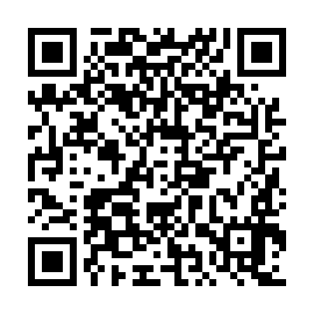 QR code for DIZ597
