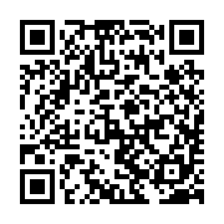 QR code for DJR295