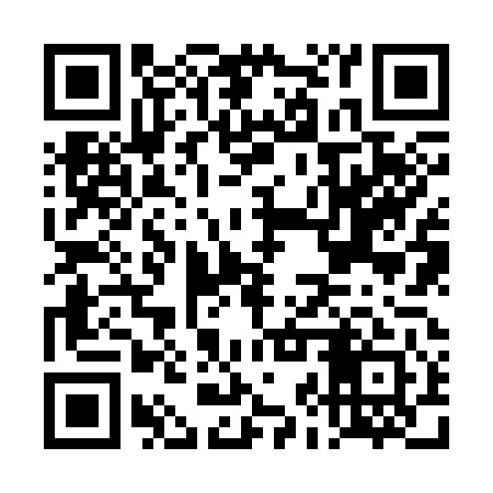 QR code for DJZ341