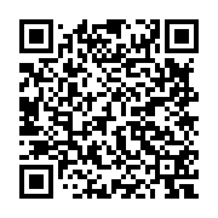 QR code for DKK850