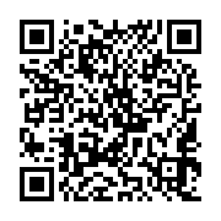 QR code for DKM953