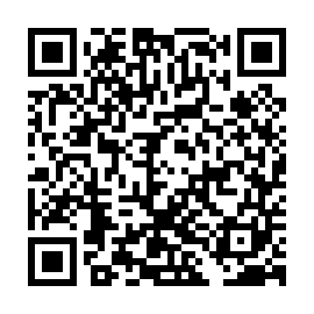 QR code for DLG041