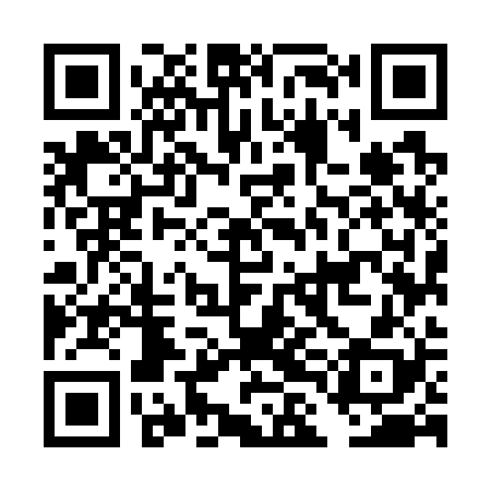 QR code for DLM728