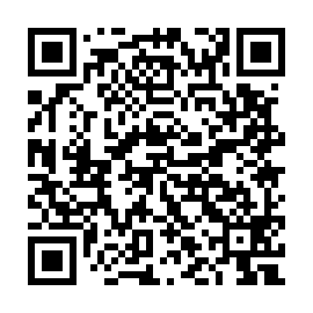QR code for DLQ599