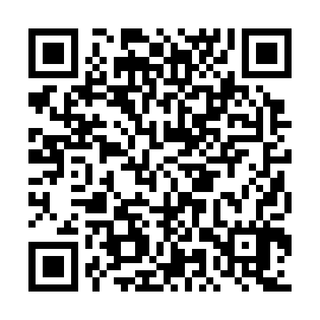 QR code for DMR307