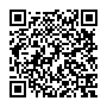 QR code for DMS838