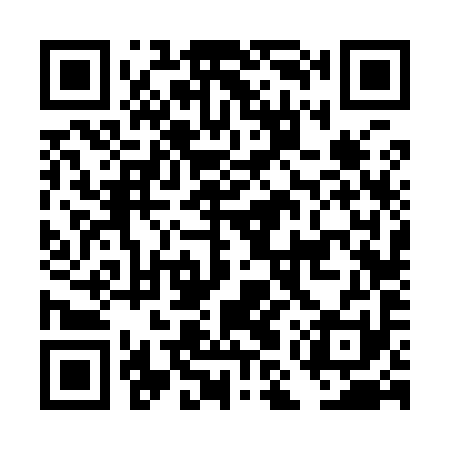 QR code for DMV991