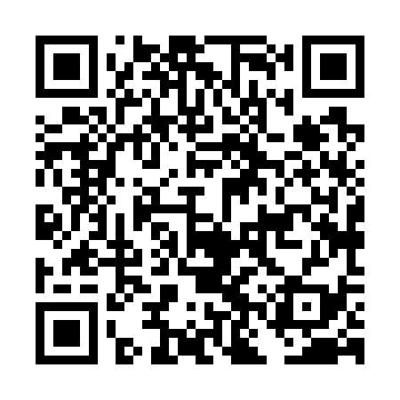 QR code for DNX739