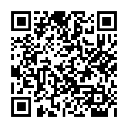 QR code for DNZ313