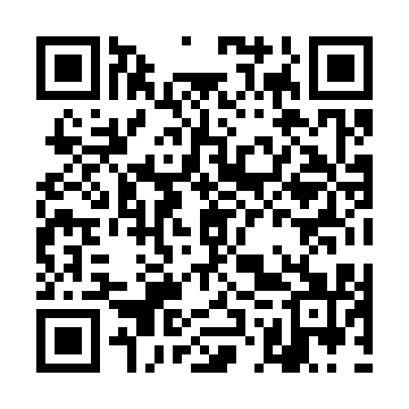 QR code for DOX311