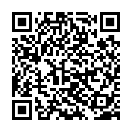 QR code for DPC739