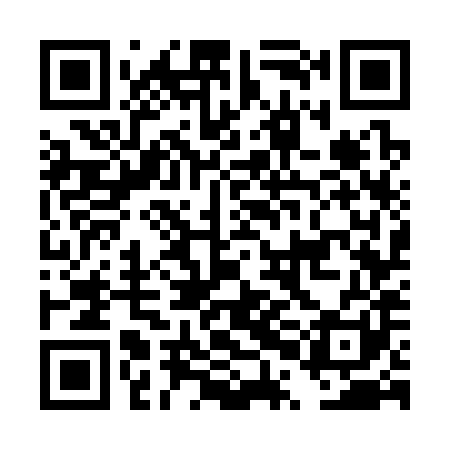 QR code for DPG381