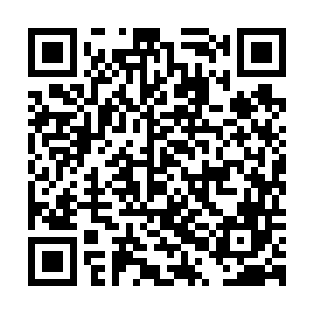 QR code for DPI646
