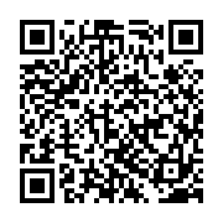 QR code for DPI833