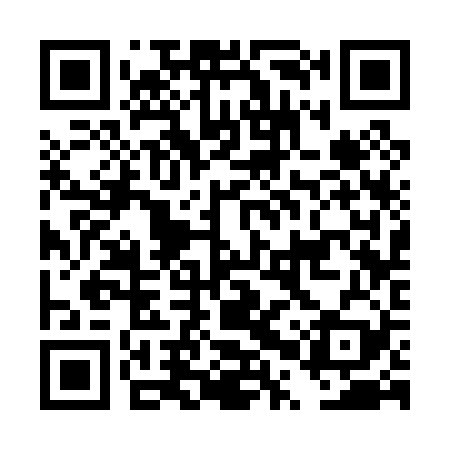 QR code for DPS029