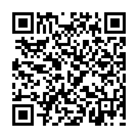 QR code for DPU734