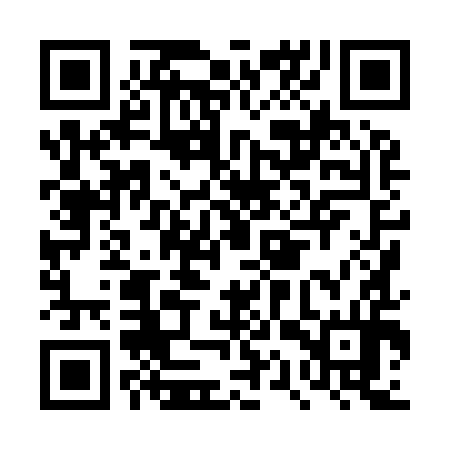 QR code for DQX994