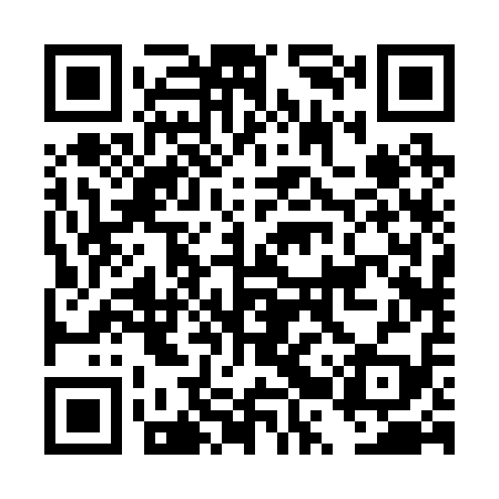 QR code for DRR219