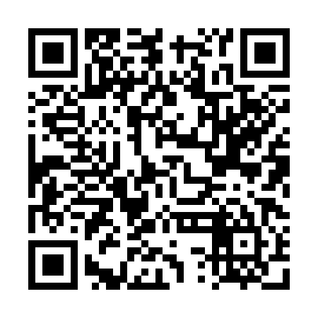 QR code for DSH385