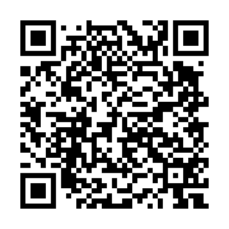 QR code for DSP454