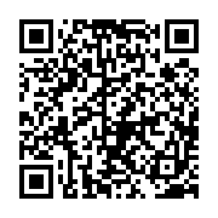 QR code for DSP593
