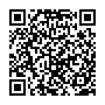 QR code for DSQ385
