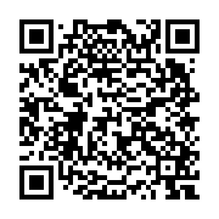 QR code for DSQ641