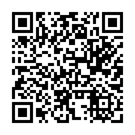 QR code for DST199