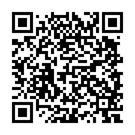 QR code for DST483