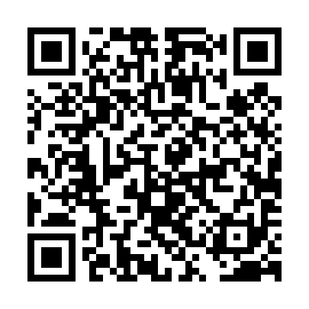 QR code for DST491