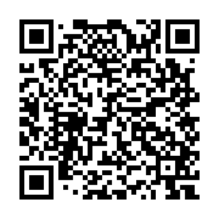 QR code for DSW141