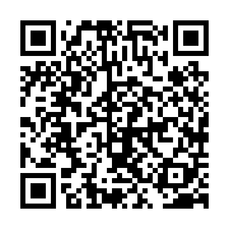 QR code for DSX209