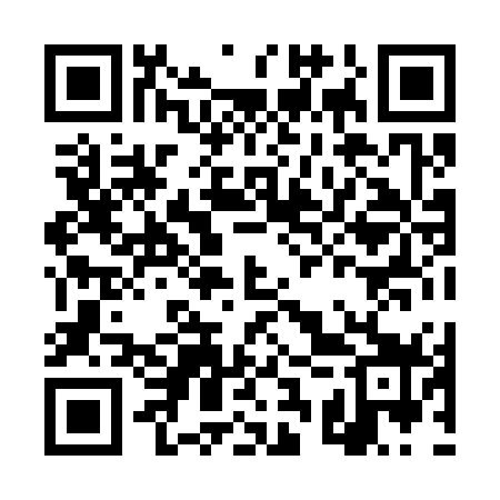 QR code for DSX379