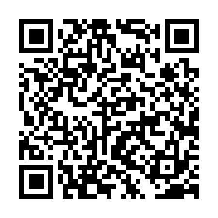 QR code for DTT333