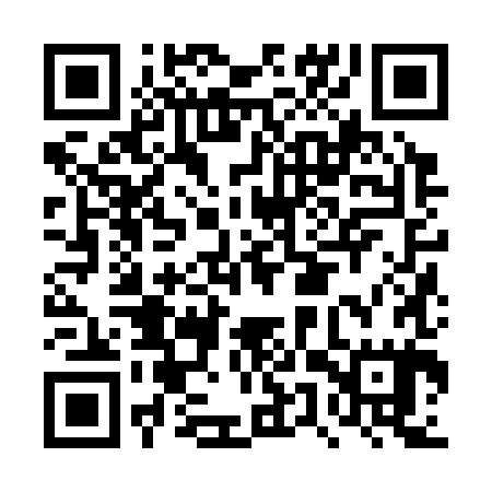 QR code for DUZ385