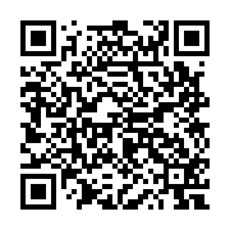 QR code for DVS113